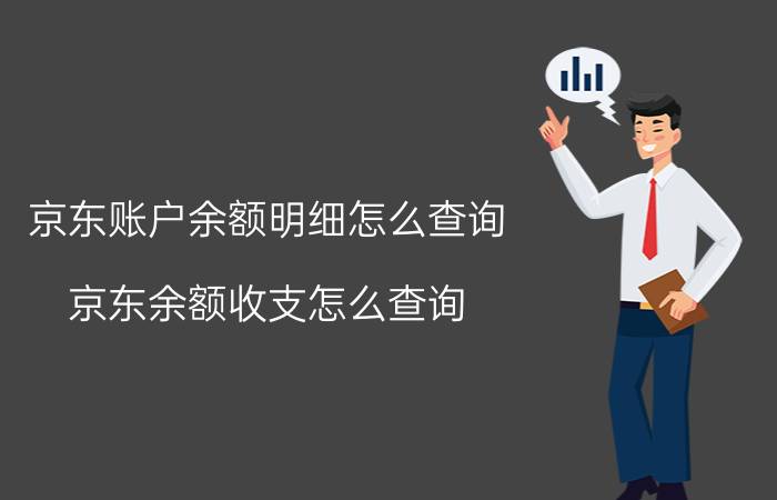 京东账户余额明细怎么查询 京东余额收支怎么查询？